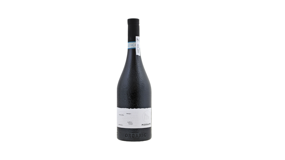 Italy: La Cantina Pizzolato - 'Back to Basic' Pinot Nero (Pinot Noir) 2024, DOC Venezia (Organic, Vegan-Friendly)